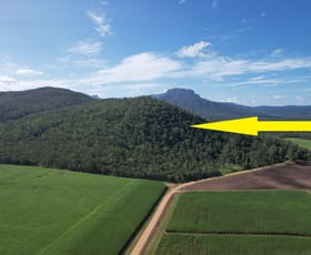 Rural / Farming commercial property sold at Lot 6 Broadwater Park Road Dalrymple Creek QLD 4850