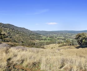 Rural / Farming commercial property sold at 96 Escreet Road Warrenbayne VIC 3670