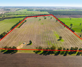 Rural / Farming commercial property sold at - Howlong-Balldale Road Balldale NSW 2646