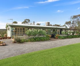 Rural / Farming commercial property sold at 279 Brobenah Hall Road Leeton NSW 2705