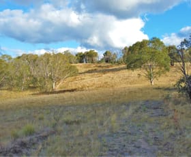Rural / Farming commercial property sold at Peak View NSW 2630