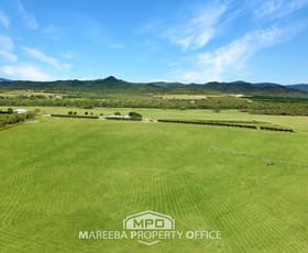 Rural / Farming commercial property for sale at 1325 Wolfram Road Dimbulah QLD 4872
