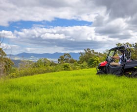 Rural / Farming commercial property sold at 281 Wallaby Joe Road Wingham NSW 2429
