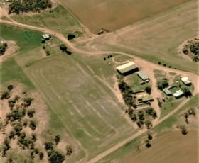 Rural / Farming commercial property sold at 379 Bennie Road Wirrulla SA 5661