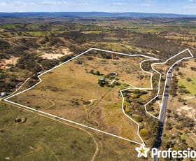 Rural / Farming commercial property sold at 1790 Mitchell Highway Bathurst NSW 2795