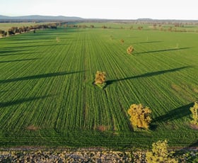Rural / Farming commercial property for sale at Longhurst Road Bribbaree NSW 2594