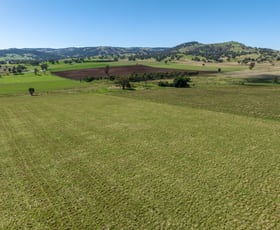 Rural / Farming commercial property sold at 518 Oakhills Road Gundagai NSW 2722