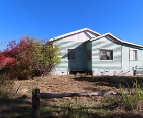 Rural / Farming commercial property for sale at 487 Bents Road Ballandean QLD 4382