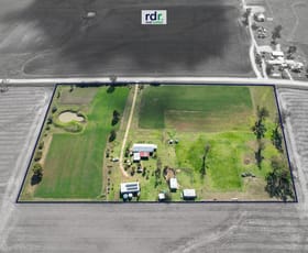 Rural / Farming commercial property for sale at 1490 Elsmore Road Inverell NSW 2360