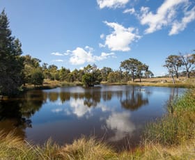 Rural / Farming commercial property sold at 1971 Boorolong Road Armidale NSW 2350