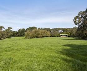 Rural / Farming commercial property for sale at 9 Kentucky Road Merricks North VIC 3926