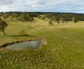 Rural / Farming commercial property sold at 5444 New England Highway Llangothlin NSW 2365