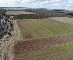 Rural / Farming commercial property sold at 'Concord' 703 Cunninyeuk Road Cunninyeuk NSW 2734