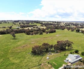 Rural / Farming commercial property sold at 100 Rifle Range Road Burrangong NSW 2594