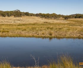 Rural / Farming commercial property sold at "The Meadows" Hilltop Road Hill Top NSW 2628