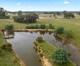 Rural / Farming commercial property for sale at 595 Providence Gully Road Sandon VIC 3462
