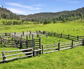 Rural / Farming commercial property for sale at Parcel A Hitcham Park Dairy Arm Road Laguna NSW 2325