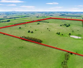 Rural / Farming commercial property sold at "Blackwoods", Minhamite- Caramut Road Minhamite VIC 3287