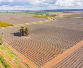 Rural / Farming commercial property for sale at 126 & 127 Yate Road Leeton NSW 2705