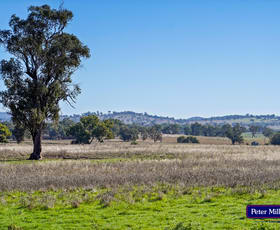 Rural / Farming commercial property sold at 178 Wykes Lane Wellington NSW 2820