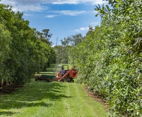 Rural / Farming commercial property sold at 264 Williams Road Benarkin North QLD 4314