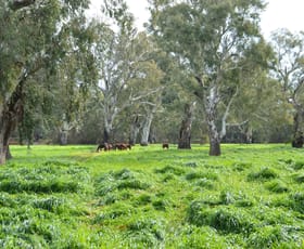 Rural / Farming commercial property sold at 164 Toms Lane Wagga Wagga NSW 2650