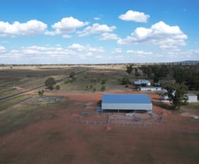 Rural / Farming commercial property for sale at 9489 The Bogan Way Tullamore NSW 2874