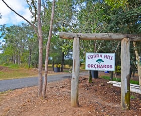 Rural / Farming commercial property for sale at 50 Cobra Road Mareeba QLD 4880