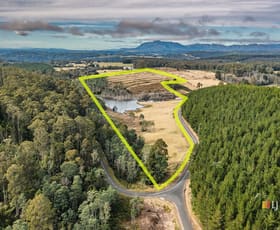 Rural / Farming commercial property sold at Lot 1 Gaunts/Castra Road Nietta TAS 7315