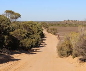 Rural / Farming commercial property sold at 102 Rosy Pine Road Pinnaroo SA 5304