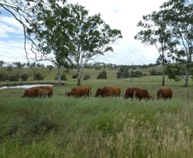 Rural / Farming commercial property sold at Gayndah QLD 4625