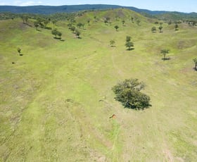 Rural / Farming commercial property sold at Wilson Valley QLD 4625