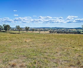 Rural / Farming commercial property for sale at 11/ Stapletons Road Molong NSW 2866