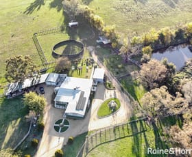 Rural / Farming commercial property for sale at 50 Manganese Road Grenfell NSW 2810