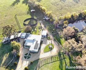 Rural / Farming commercial property sold at 50 Manganese Road Grenfell NSW 2810