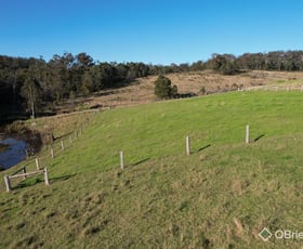 Rural / Farming commercial property sold at 1306 Tambo Upper Road Bruthen VIC 3885