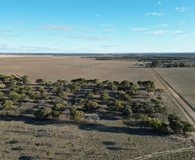 Rural / Farming commercial property sold at 1199 Range Road Pingrup WA 6343