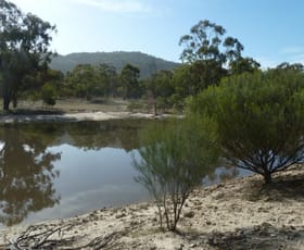 Rural / Farming commercial property sold at Lot 1 Serpentine-Wedderburn Road Wedderburn VIC 3518