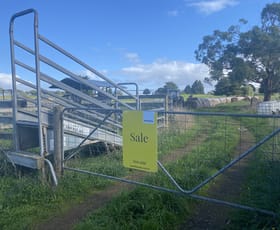 Rural / Farming commercial property sold at 45 Glenn Street Warrion VIC 3249