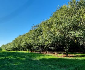 Rural / Farming commercial property for sale at Dalwood NSW 2477