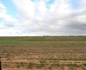 Rural / Farming commercial property sold at Sec 578 Ellis Rd Kadina SA 5554