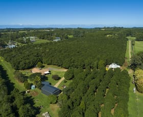 Rural / Farming commercial property for sale at 346 Rous Road Rous NSW 2477