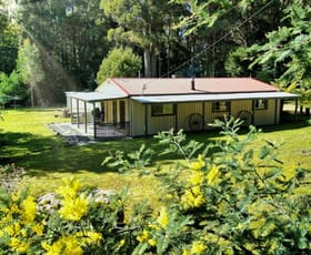 Rural / Farming commercial property for sale at Upper Natone TAS 7321