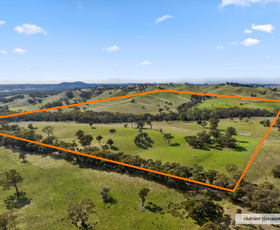 Rural / Farming commercial property sold at 355 Basin Hill Road Pyalong VIC 3521