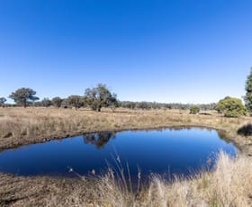 Rural / Farming commercial property sold at Grove Road Tingha NSW 2369
