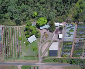 Rural / Farming commercial property for sale at 1603 Geeberga Buthurra Road Mount Ossa QLD 4741