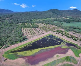 Rural / Farming commercial property for sale at 1603 Geeberga Buthurra Road Mount Ossa QLD 4741