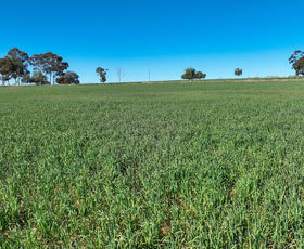 Rural / Farming commercial property sold at 'Dieulefit' 1206 Marsden Park Road Tamworth NSW 2340