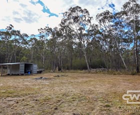 Rural / Farming commercial property sold at 47, 1527 New England highway Dundee NSW 2370