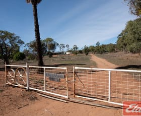 Rural / Farming commercial property sold at 1277 Frosty Gully Road East Bowes WA 6535